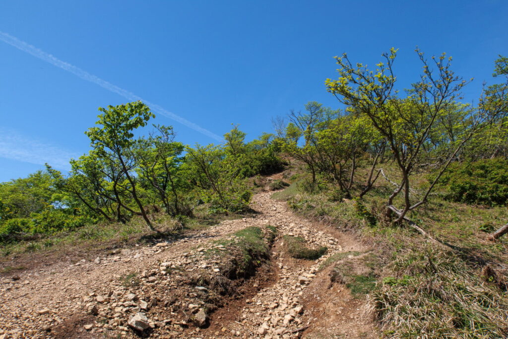 蛇谷ヶ峰登山│新緑と絶景のお気軽ハイキング