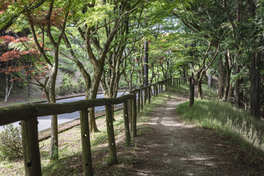比良比叡トレイルの山旅<1泊2日のテン泊全山スルーハイク>